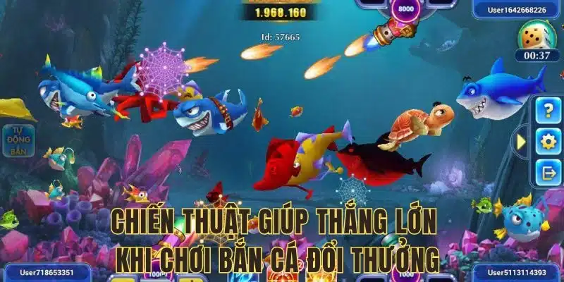 Áp dụng chiến thuật linh hoạt, tối ưu lợi nhuận