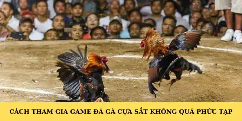 Cách tham gia game đá gà cựa sắt không quá phức tạp