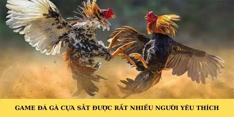 Game đá gà cựa sắt được rất nhiều người yêu thích