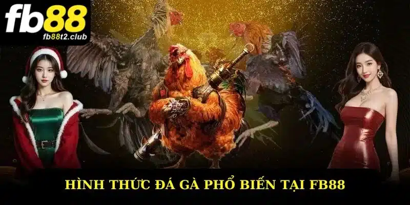 Hình thức đấu gà hấp dẫn